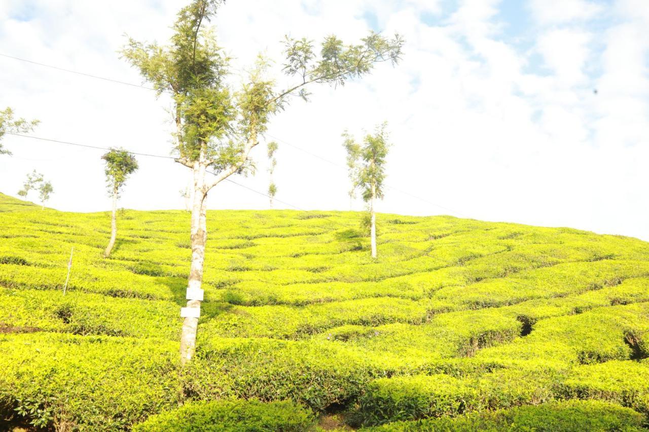 Hotel Casa Montana Munnar Extérieur photo